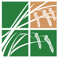 Rice Field Corporation