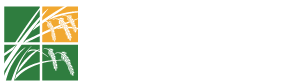 Rice Field Corporation